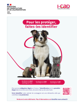 Agrandir l'image, .PDF 911 Ko (fenêtre modale)