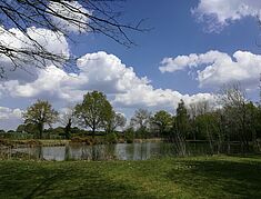 Etang de Planté - Agrandir l'image, .JPG 3,3 Mo (fenêtre modale)