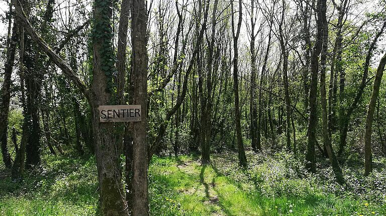 panneau "sentier"