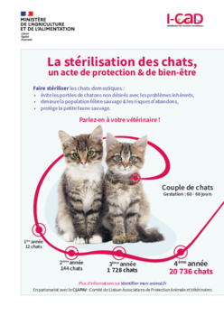 Agrandir l'image, .PDF 12 Mo (fenêtre modale)